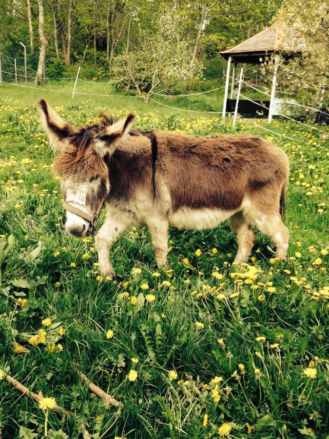 Et-Home Kungsbacka Eksteriør billede